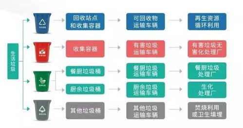 国际教育标准分类